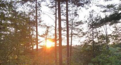 Large Riverside Cabin in The Forks, pet friendly