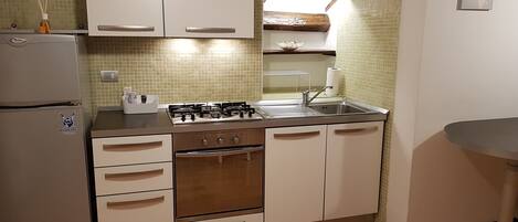 Fridge, oven, stovetop, dishwasher