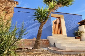 A building with a blue facade, a wooden door, and a palm tree in the foreground.