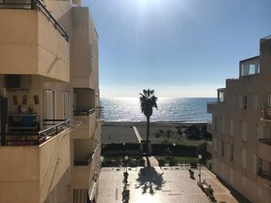 A balcony overlooking a beach with a palm tree, adjacent buildings, and a clear sky.