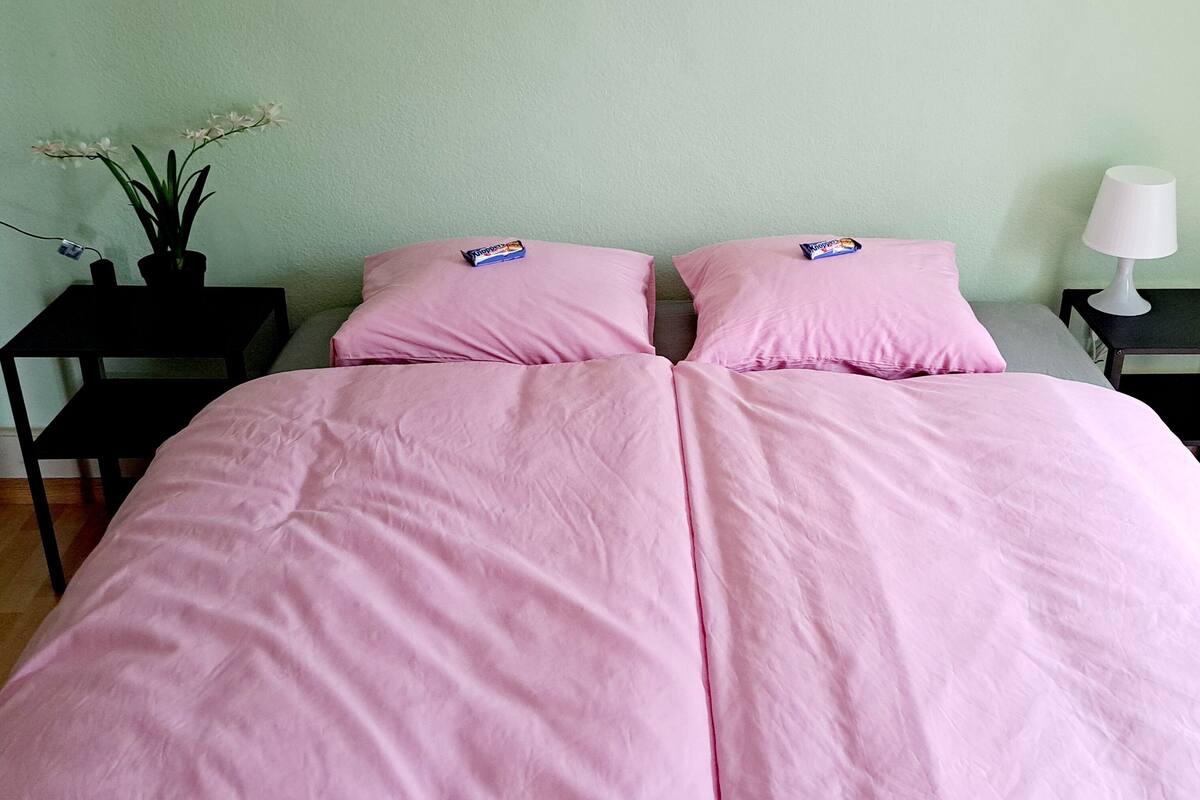 A double bed with pink bedding, two nightstands with lamps, and a potted plant on one nightstand.