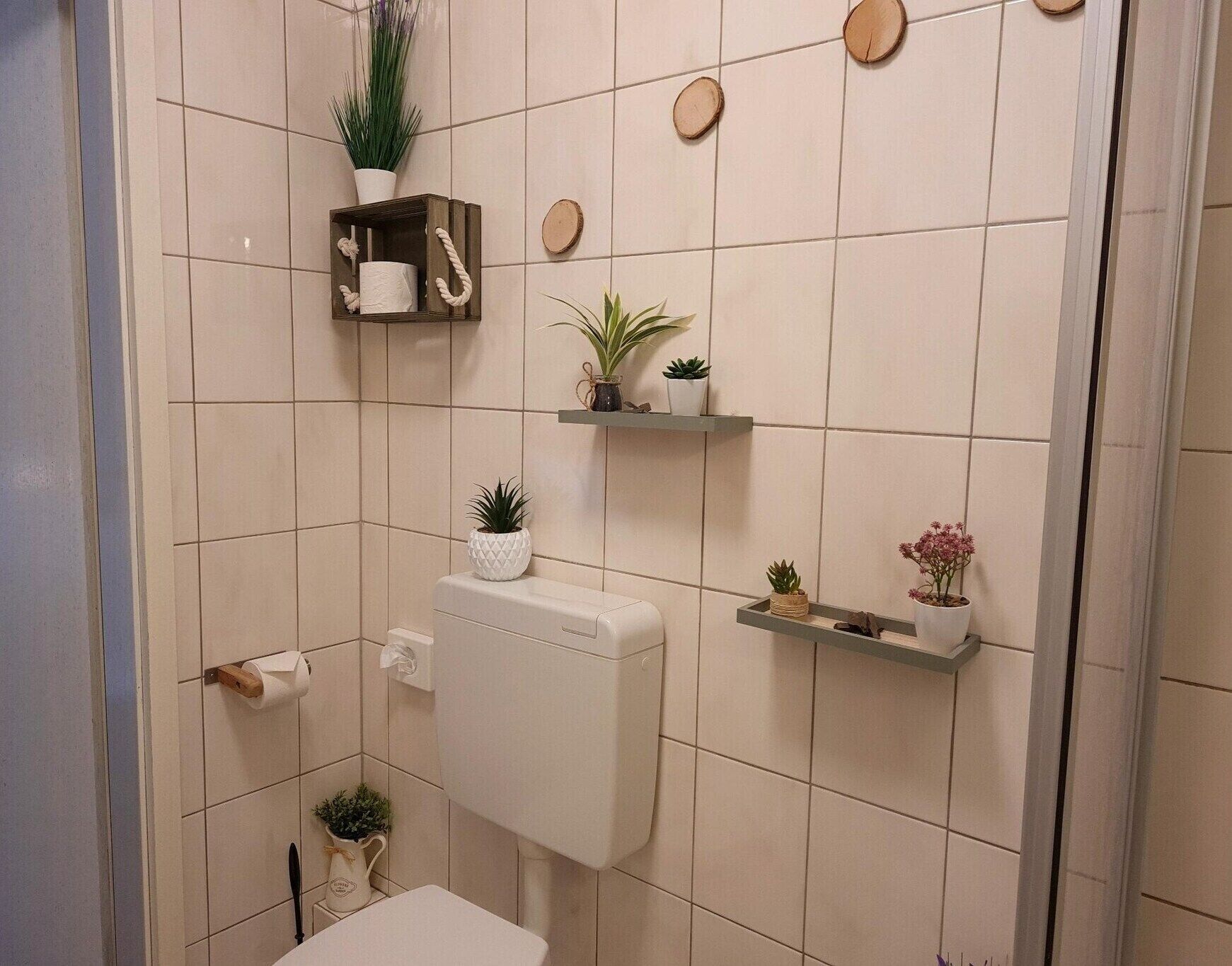 Un bagno con un water, un lavandino e mensole con piante.