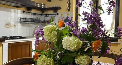 Erika's Refuge - vacation home