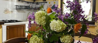 Erika's Refuge - vacation home