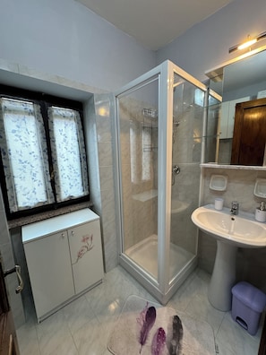 Shower, hair dryer, bidet, towels