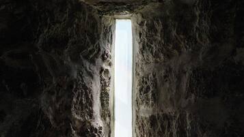 Memory-foam beds, individually decorated, individually furnished