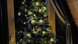 A Christmas tree with lights and ornaments in a room with wooden walls and a window with curtains. - Thomas Hut (Khelvachauri)