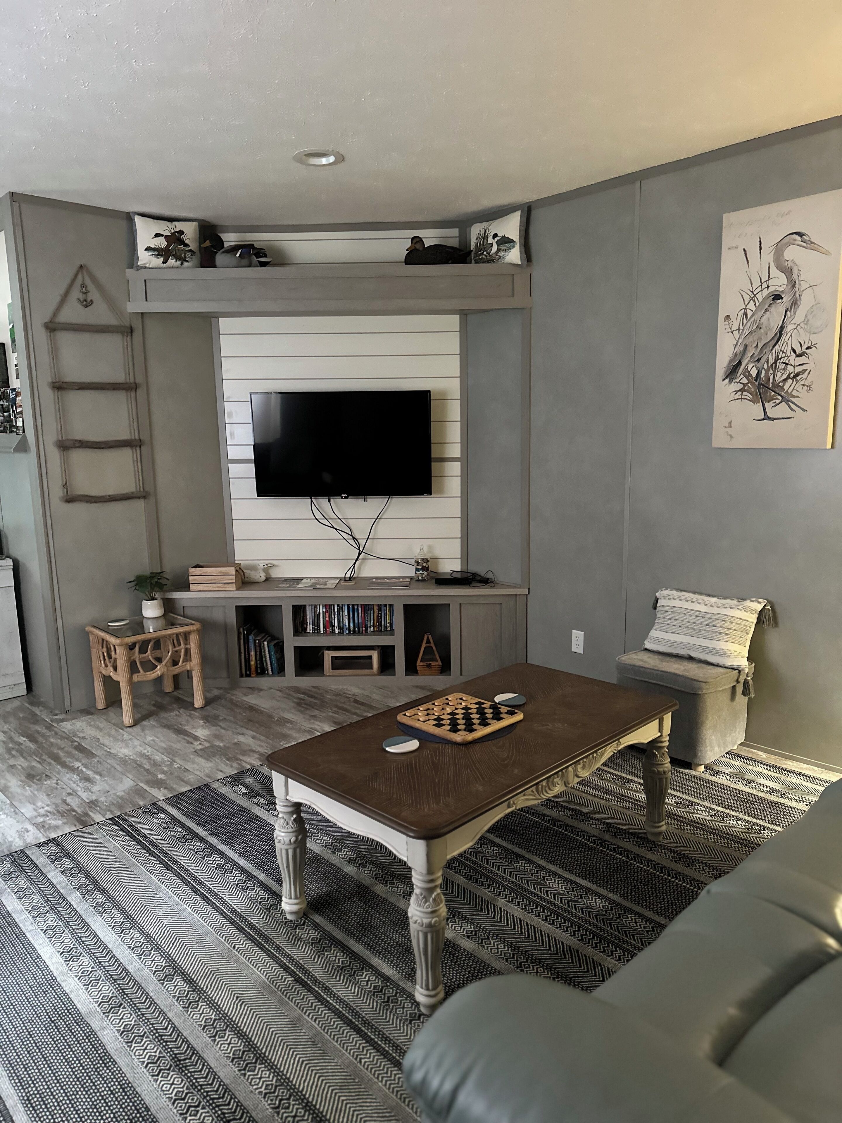 Smart TV, DVD player, books