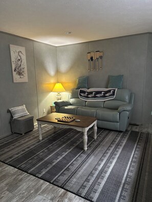 Smart TV, DVD player, books