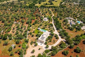 Exterior - Villa Pamaridi by Villa Plus (Ostuni)