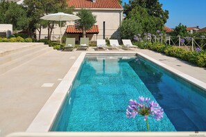 Unclassified image, 5 of 50, button