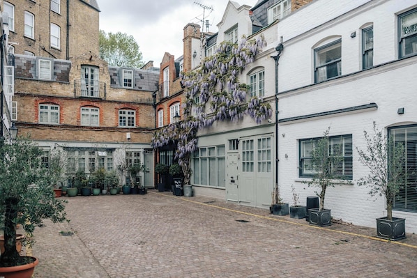 A courtyard with cobblestone pavement, potted plants, and a white building with a hanging vine.
