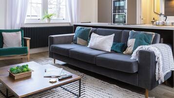 Smart TV, fireplace, books, stereo