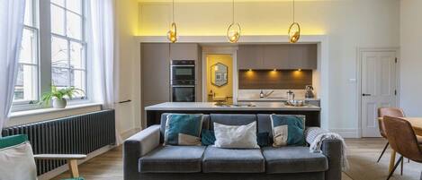 TV connectée, cheminée, livres, chaîne hi-fi