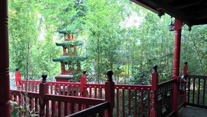 A red wooden structure with a railing, surrounded by dense green foliage.
