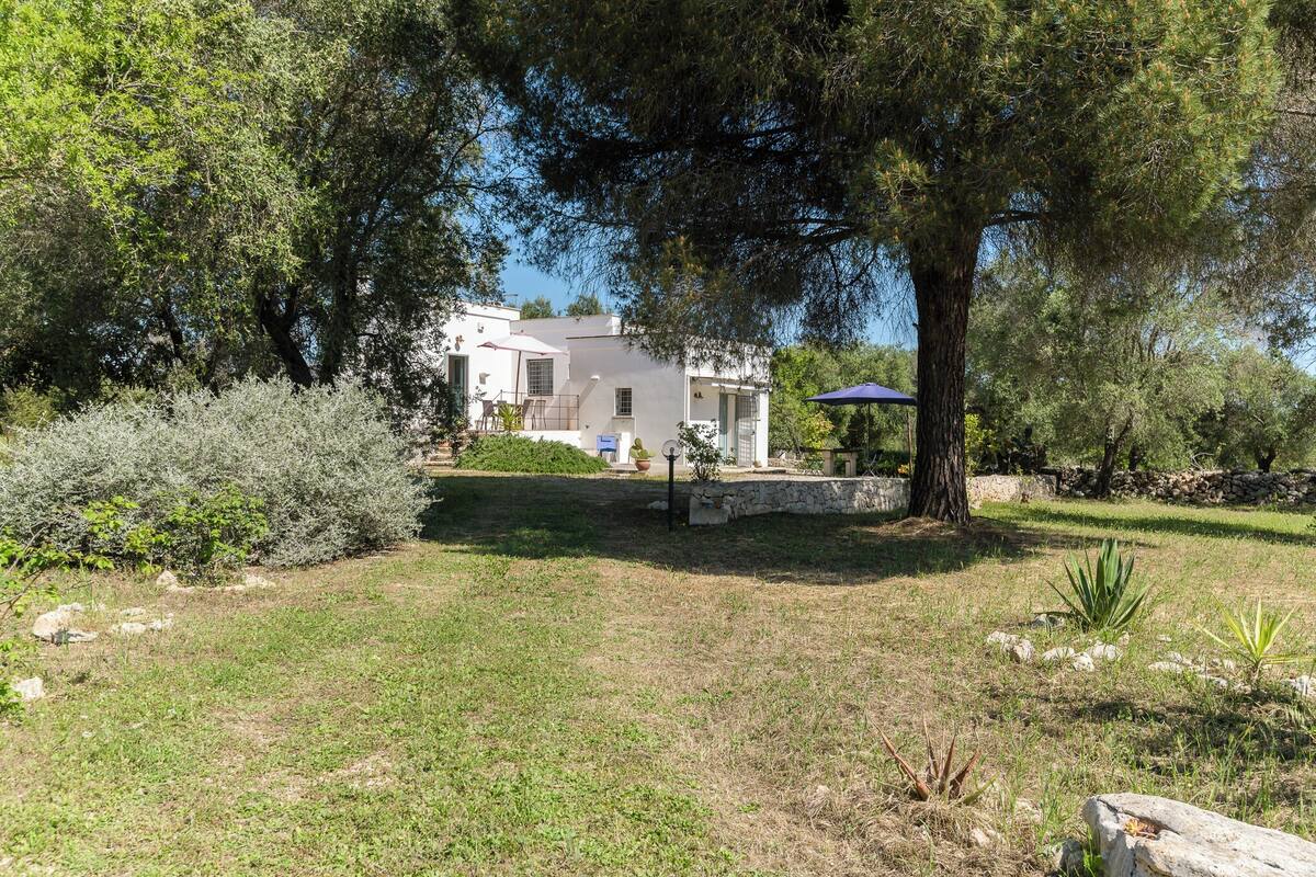 A white house with a stone wall and a garden with trees and shrubs.