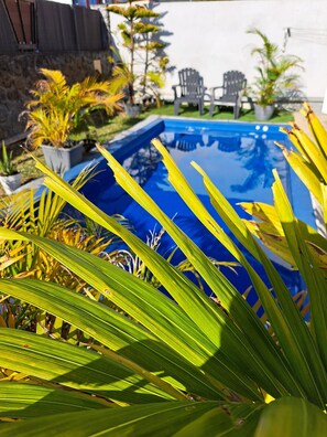 A swimming pool surrounded by potted plants and outdoor furniture.