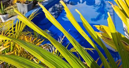 Beautiful, cozy, recent, bright apartment 15 min from Gillot airport