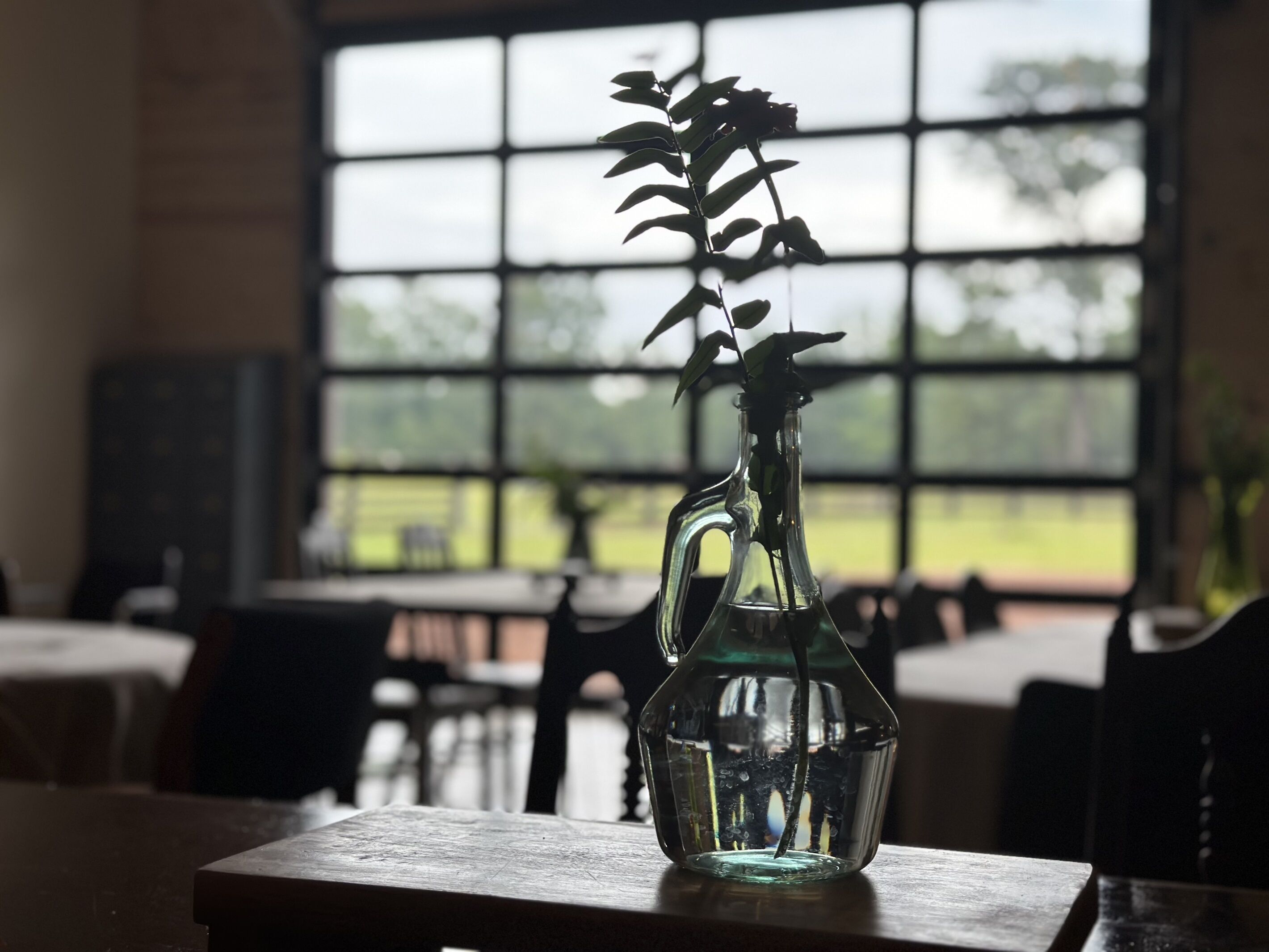 A clear glass vase with a plant on a wooden table in a room with large windows.