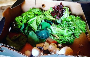 Food and drink - Secluded Converted Horsebox Retreat in Welcombe (Bideford)