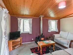 A living room with a TV, sofa, table, and fireplace. - The Squirrels Drey C32 - UK45927 (Machynlleth)