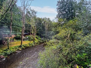 Property grounds - The Squirrels Drey C32 - UK45927 (Machynlleth)