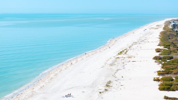 Une plage offrant une vue dégagée sur l’océan, un rivage sablonneux et quelques bâtiments le long de la côte.