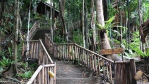 A wooden staircase surrounded by dense foliage, with a sign warning to watch your step. - Sea Wind Resort (Boracay Island)