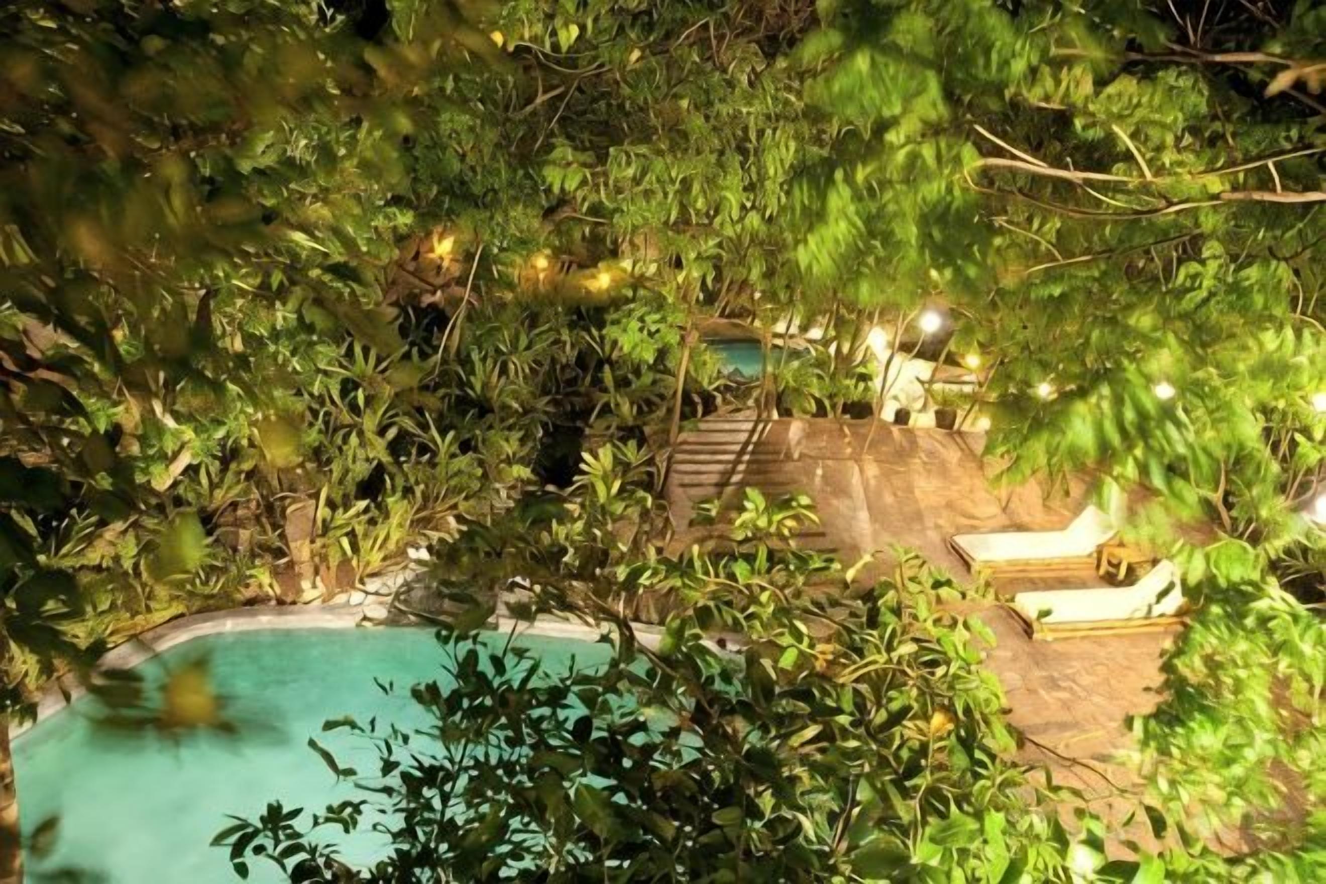 A pool area surrounded by dense foliage, with lounge chairs and a stone deck.