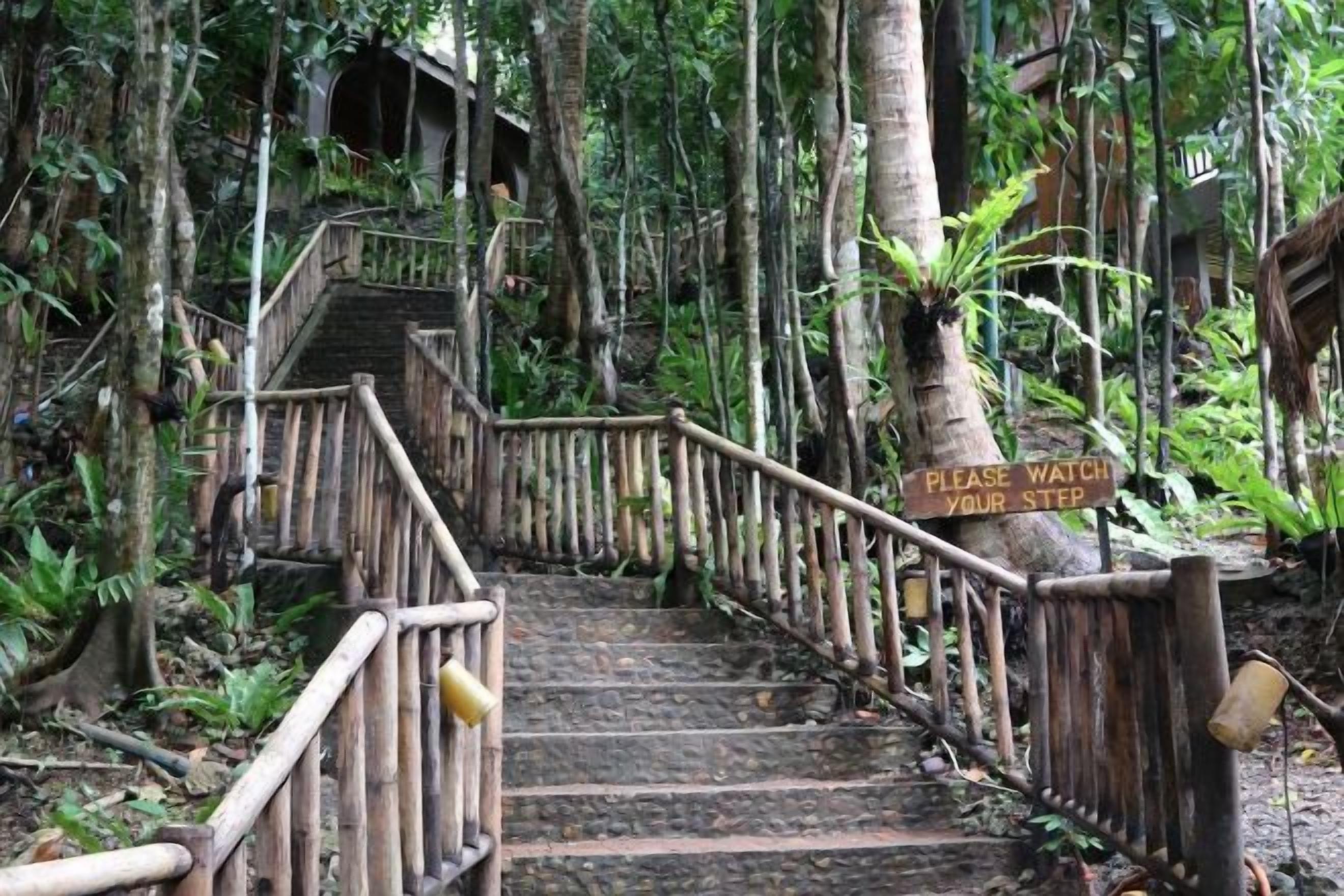 A wooden staircase with a sign that reads 'PLEASE WATCH YOUR STEP' in a forested area.