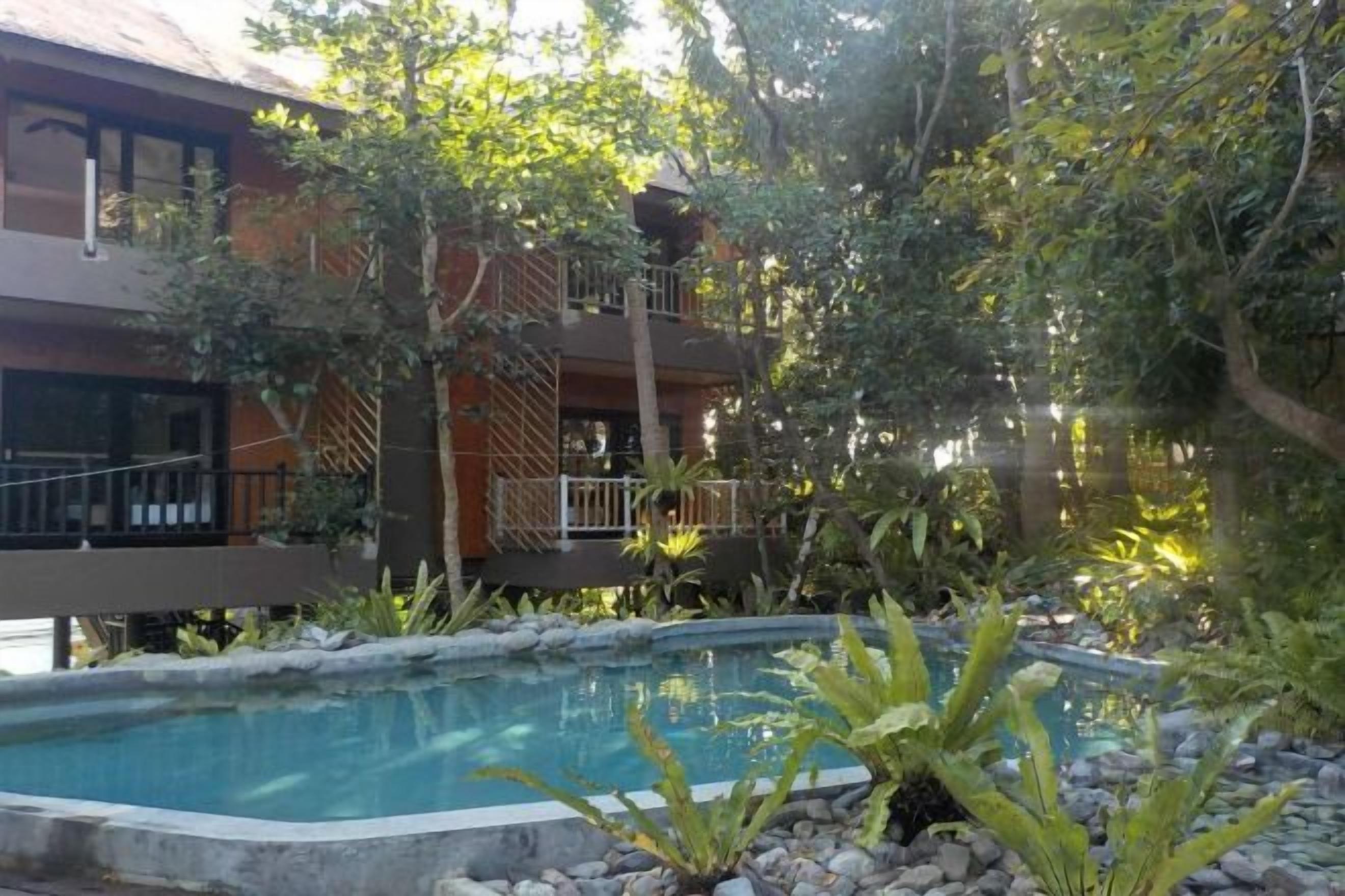 Una piscina rodeada de rocas y plantas, con un edificio al fondo.