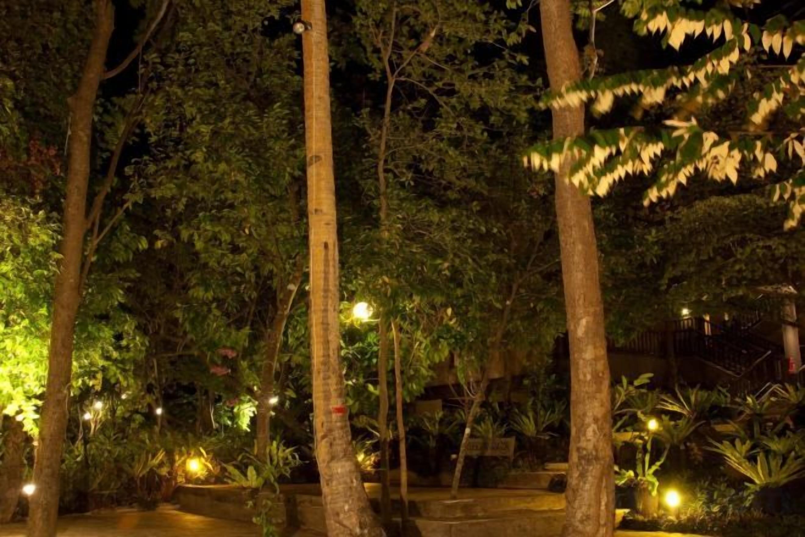 A nighttime outdoor area with trees and ambient lighting.