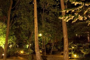 A nighttime outdoor area with trees and ambient lighting. - Sea Wind Resort (Boracay Island)