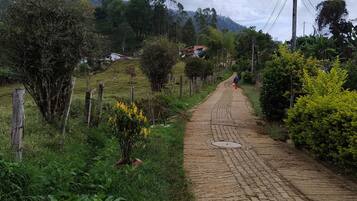 Overnattingsstedets uteområder