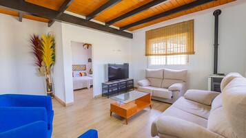 Télévision, cheminée