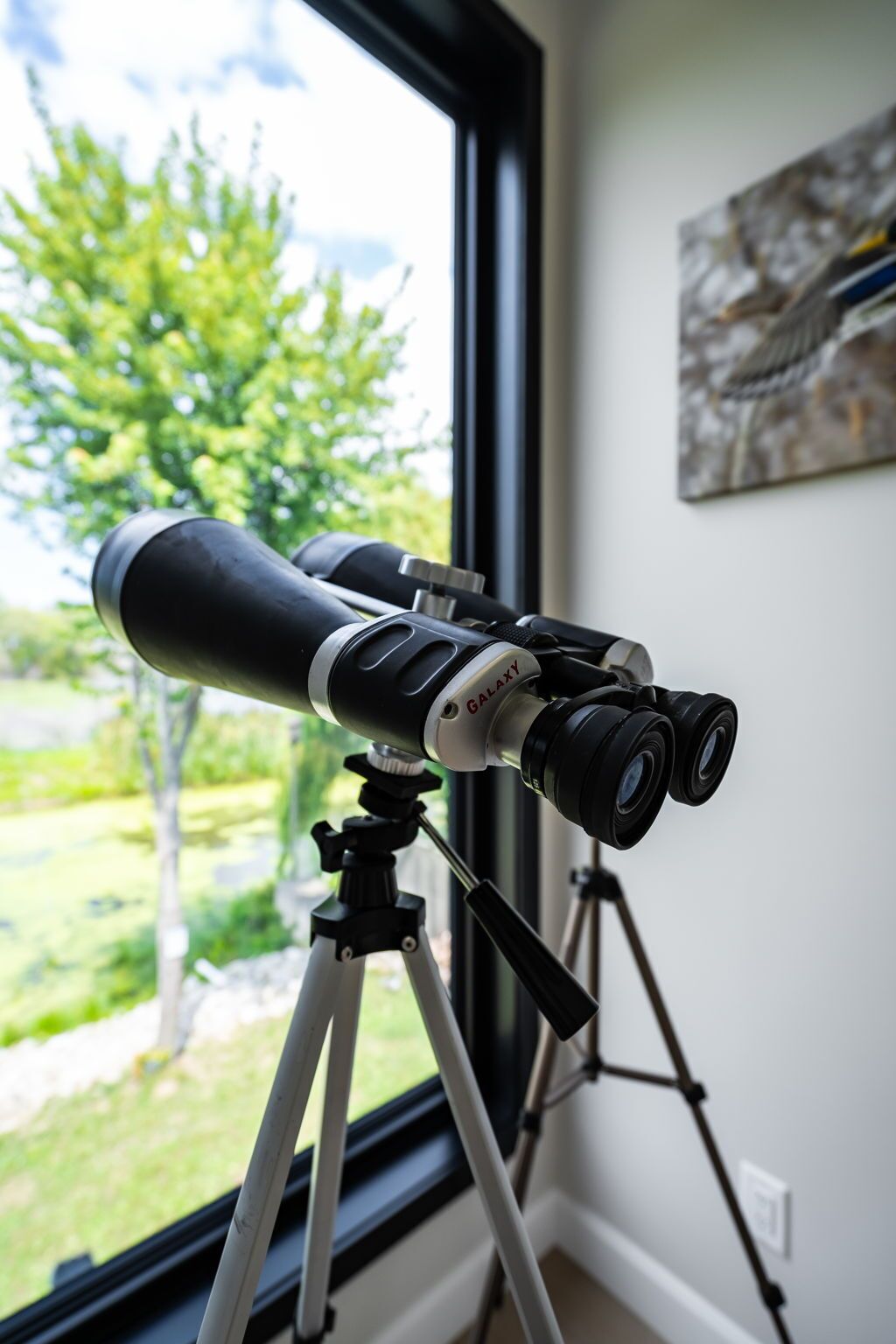 Un télescope, monté sur un trépied, est placé près d’une fenêtre, d’où l’on peut admirer la verdure environnante.