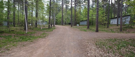 A dirt road leading through a forested area with several small buildings.