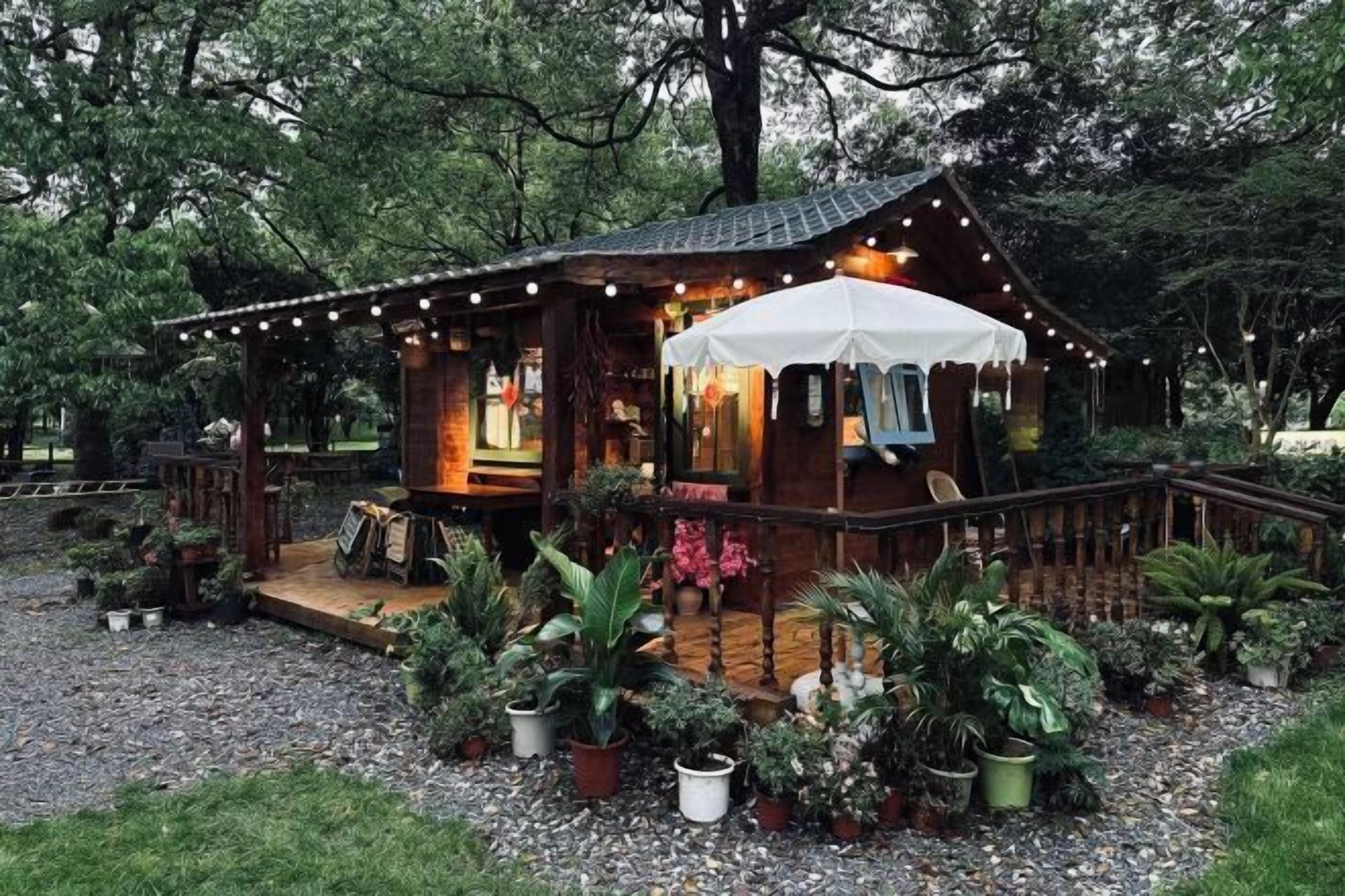 Een houten chalet met een veranda, omringd door potplanten en een grindpad.