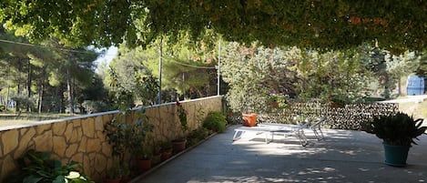 Terrass/Patio