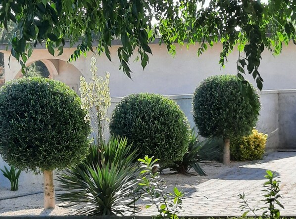 Property grounds - Apartment Stella Casa Bruno - Two Bedroom Apartment (Vrsi)