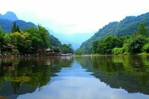 صورة غير مصنفة، 4 من 18، زرّ