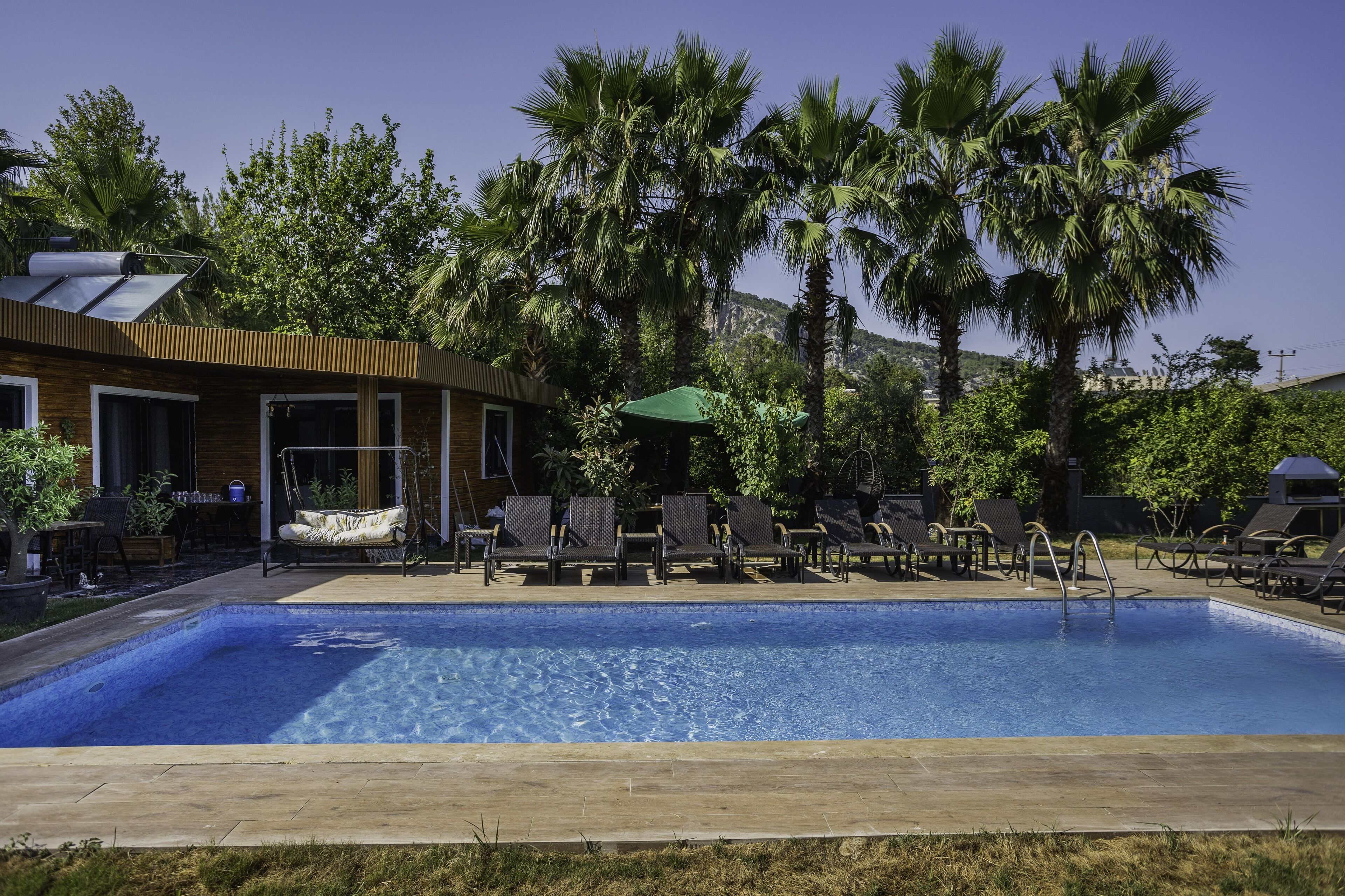 A swimming pool with lounge chairs and umbrellas, surrounded by palm trees and a building with a sloped roof.