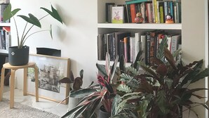 A living room with a bookshelf, potted plants, and a framed picture on the wall. - Cosy Victorian house in south London with a sunny private garden. (LONDON)