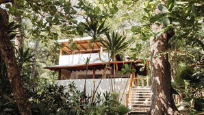 A pathway leading to a building surrounded by lush greenery and trees. - FLORBLANCA HOTEL  (Cóbano)