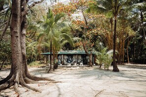 A beachside hut with a thatched roof, surrounded by palm trees and a sandy beach.