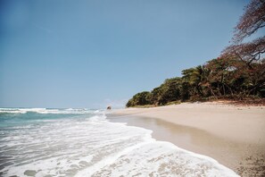 On the beach, white sand - FLORBLANCA HOTEL (Cóbano)
