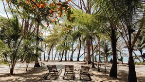 A beach with three sun loungers, palm trees, and a view of the ocean. - FLORBLANCA HOTEL  (Cóbano)