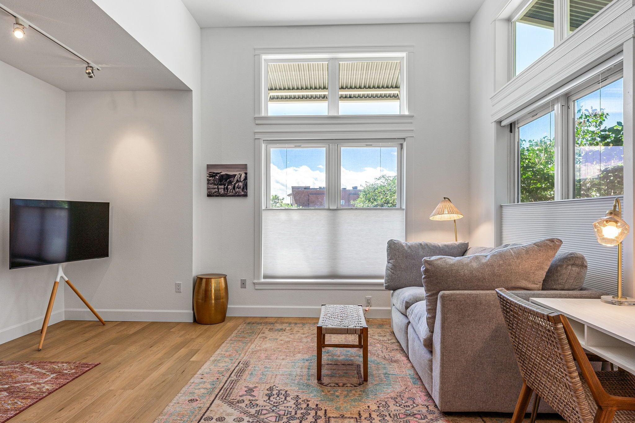 No Stairs-Bright NoBo ground floor condo in walkable Holiday neighborhood