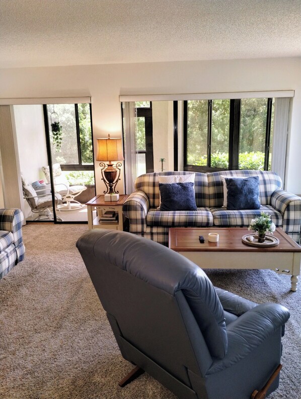 Smart TV, DVD player, books, video library