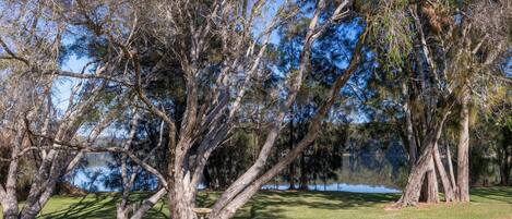 A park with mature trees, a grassy area, and a body of water in the background.